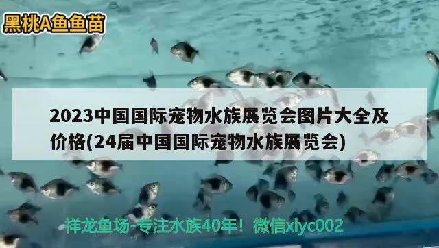 2023中國(guó)國(guó)際寵物水族展覽會(huì)圖片大全及價(jià)格(24屆中國(guó)國(guó)際寵物水族展覽會(huì)) 水族展會(huì)