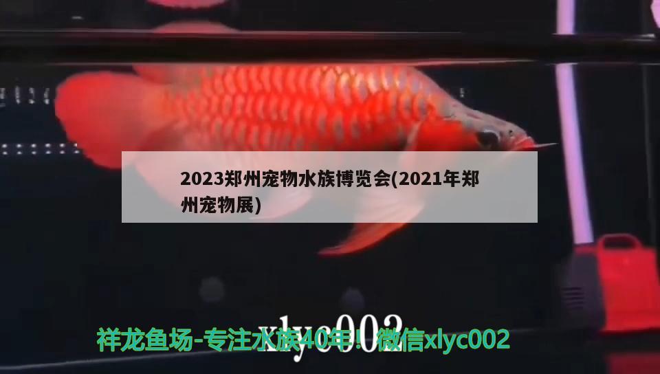 2023鄭州寵物水族博覽會(huì)(2021年鄭州寵物展) 2024第28屆中國(guó)國(guó)際寵物水族展覽會(huì)CIPS（長(zhǎng)城寵物展2024 CIPS）