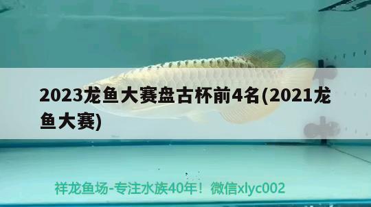 2023龍魚大賽盤古杯前4名(2021龍魚大賽) 2024第28屆中國(guó)國(guó)際寵物水族展覽會(huì)CIPS（長(zhǎng)城寵物展2024 CIPS）