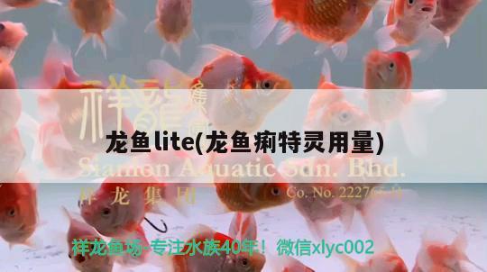 龍魚lite(龍魚痢特靈用量) 2024第28屆中國國際寵物水族展覽會CIPS（長城寵物展2024 CIPS）