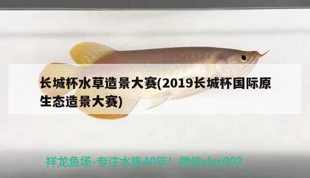 長城杯水草造景大賽(2019長城杯國際原生態(tài)造景大賽) 2024第28屆中國國際寵物水族展覽會(huì)CIPS（長城寵物展2024 CIPS）