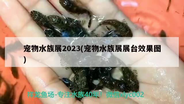 寵物水族展2023(寵物水族展展臺(tái)效果圖)