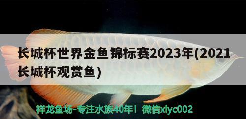 長(zhǎng)城杯世界金魚錦標(biāo)賽2023年(2021長(zhǎng)城杯觀賞魚)