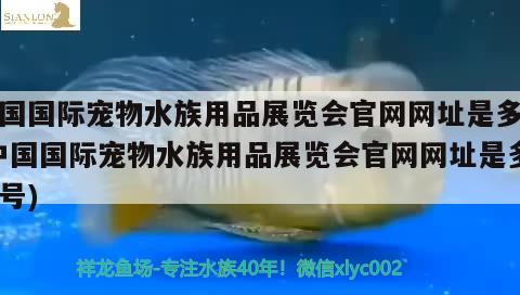 中國國際寵物水族用品展覽會(huì)官網(wǎng)網(wǎng)址是多少(中國國際寵物水族用品展覽會(huì)官網(wǎng)網(wǎng)址是多少號(hào)) 水族用品