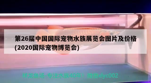 第26屆中國國際寵物水族展覽會圖片及價格(2020國際寵物博覽會) 水族展會