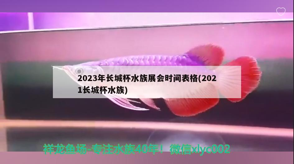 2023年長(zhǎng)城杯水族展會(huì)時(shí)間表格(2021長(zhǎng)城杯水族) 水族展會(huì) 第3張