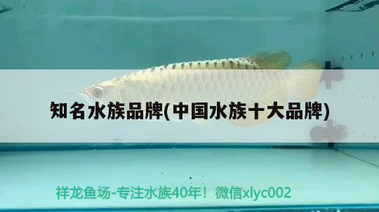 知名水族品牌(中國水族十大品牌)