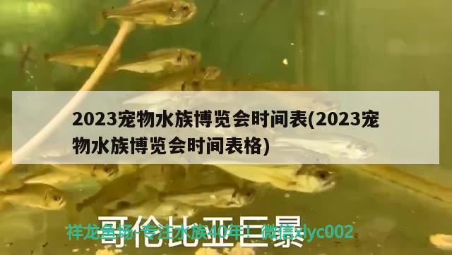 2023寵物水族博覽會(huì)時(shí)間表(2023寵物水族博覽會(huì)時(shí)間表格)