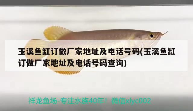 玉溪魚缸訂做廠家地址及電話號(hào)碼(玉溪魚缸訂做廠家地址及電話號(hào)碼查詢)