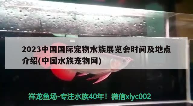 2023中國國際寵物水族展覽會時間及地點介紹(中國水族寵物網(wǎng)) 水族展會