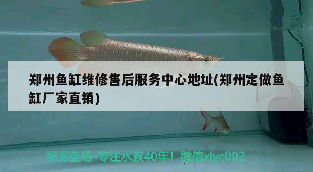 鄭州魚(yú)缸維修售后服務(wù)中心地址(鄭州定做魚(yú)缸廠(chǎng)家直銷(xiāo)) 斑馬鴨嘴魚(yú)