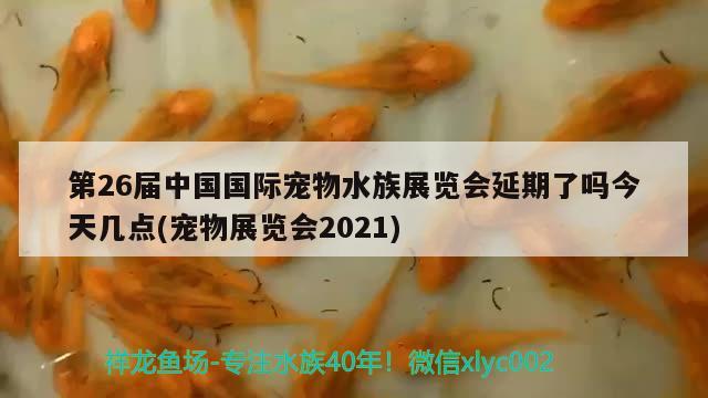 第26屆中國國際寵物水族展覽會延期了嗎今天幾點(diǎn)(寵物展覽會2021)