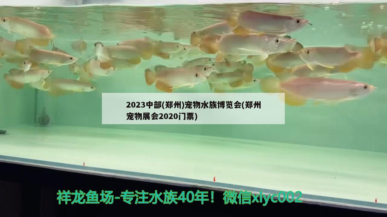 2023中部(鄭州)寵物水族博覽會(鄭州寵物展會2020門票)