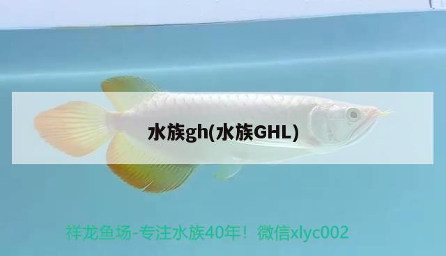 水族gh(水族GHL) 2024第28屆中國(guó)國(guó)際寵物水族展覽會(huì)CIPS（長(zhǎng)城寵物展2024 CIPS）