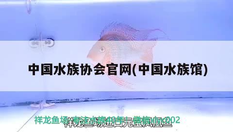 中國水族協(xié)會官網(wǎng)(中國水族館)