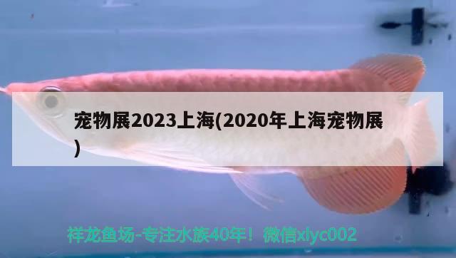 寵物展2023上海(2020年上海寵物展)