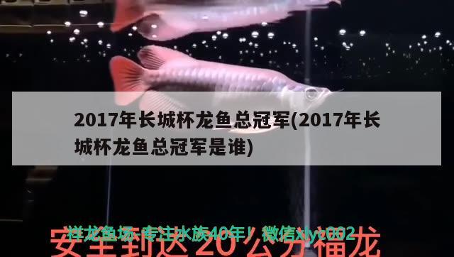 2017年長(zhǎng)城杯龍魚總冠軍(2017年長(zhǎng)城杯龍魚總冠軍是誰)