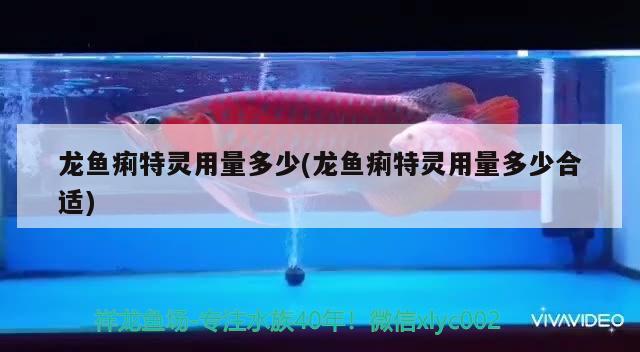 龍魚痢特靈用量多少(龍魚痢特靈用量多少合適) 2024第28屆中國國際寵物水族展覽會CIPS（長城寵物展2024 CIPS）