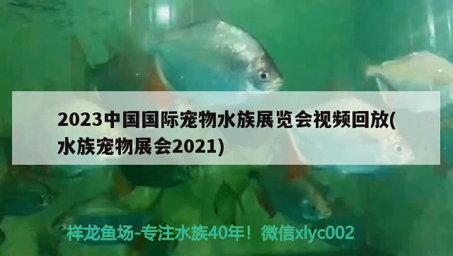 2023中國國際寵物水族展覽會視頻回放(水族寵物展會2021)