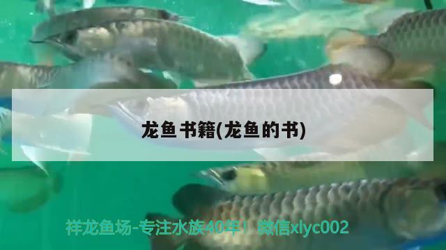 龍魚書籍(龍魚的書) 2024第28屆中國(guó)國(guó)際寵物水族展覽會(huì)CIPS（長(zhǎng)城寵物展2024 CIPS）