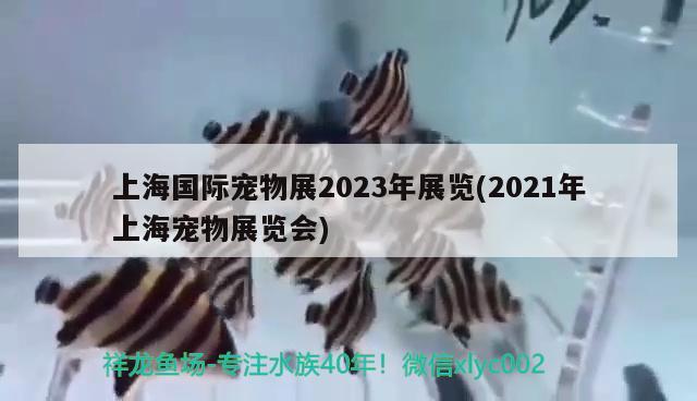 上海國際寵物展2023年展覽(2021年上海寵物展覽會)