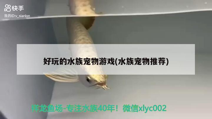 好玩的水族寵物游戲(水族寵物推薦)