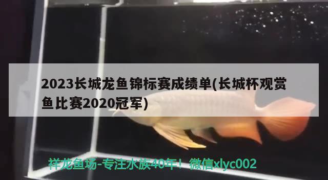 2023長城龍魚錦標(biāo)賽成績單(長城杯觀賞魚比賽2020冠軍) 2024第28屆中國國際寵物水族展覽會CIPS（長城寵物展2024 CIPS）