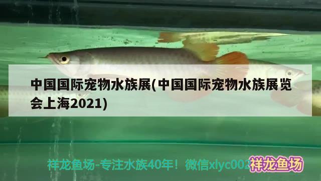 中國國際寵物水族展(中國國際寵物水族展覽會上海2021)