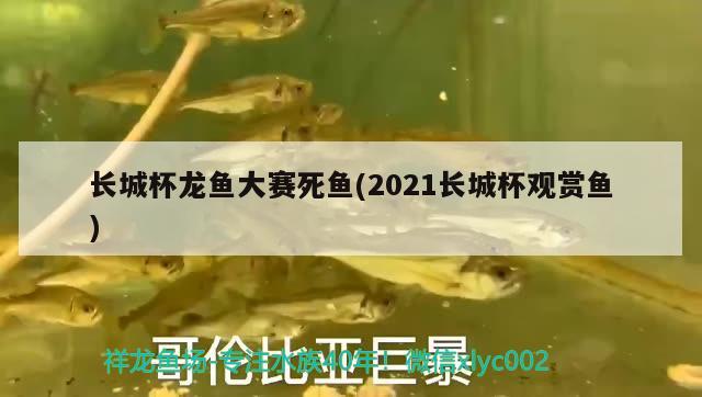 長(zhǎng)城杯龍魚大賽死魚(2021長(zhǎng)城杯觀賞魚) 2024第28屆中國(guó)國(guó)際寵物水族展覽會(huì)CIPS（長(zhǎng)城寵物展2024 CIPS）