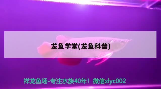 龍魚學(xué)堂(龍魚科普) 2024第28屆中國國際寵物水族展覽會(huì)CIPS（長城寵物展2024 CIPS）