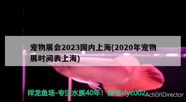 寵物展會(huì)2023國(guó)內(nèi)上海(2020年寵物展時(shí)間表上海) 2024第28屆中國(guó)國(guó)際寵物水族展覽會(huì)CIPS（長(zhǎng)城寵物展2024 CIPS）