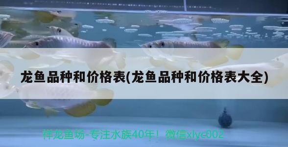 龍魚(yú)品種和價(jià)格表(龍魚(yú)品種和價(jià)格表大全) 2025第29屆中國(guó)國(guó)際寵物水族展覽會(huì)CIPS（長(zhǎng)城寵物展2025 CIPS）