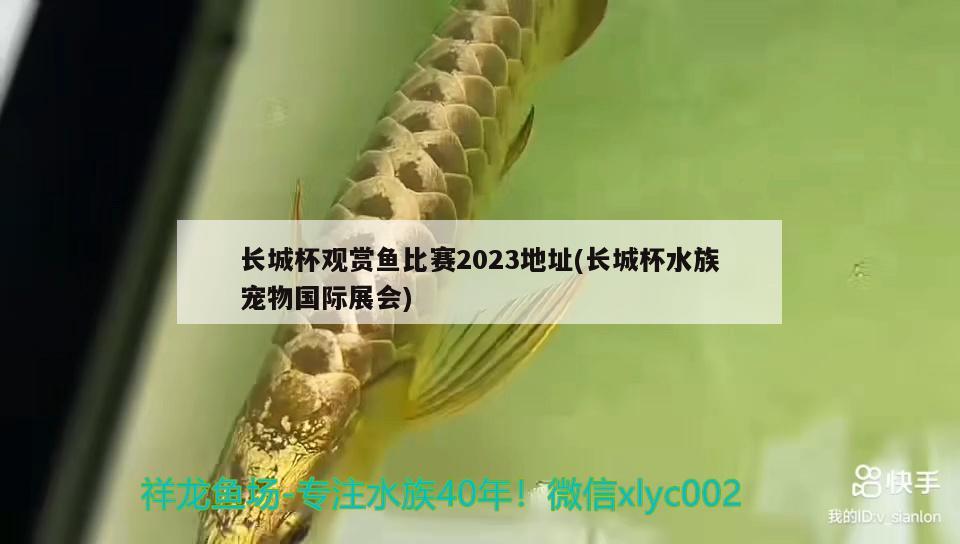 長(zhǎng)城杯觀賞魚比賽2023地址(長(zhǎng)城杯水族寵物國(guó)際展會(huì)) 2024第28屆中國(guó)國(guó)際寵物水族展覽會(huì)CIPS（長(zhǎng)城寵物展2024 CIPS）