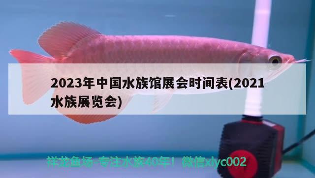 2023年中國(guó)水族館展會(huì)時(shí)間表(2021水族展覽會(huì)) 水族展會(huì)