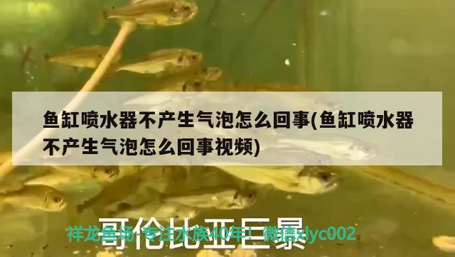 魚(yú)缸噴水器不產(chǎn)生氣泡怎么回事(魚(yú)缸噴水器不產(chǎn)生氣泡怎么回事視頻)