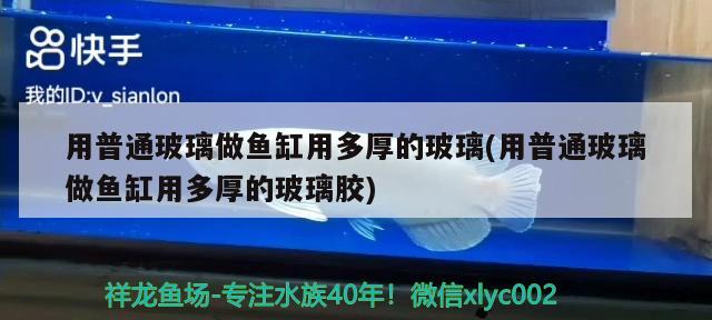 用普通玻璃做魚缸用多厚的玻璃(用普通玻璃做魚缸用多厚的玻璃膠) 魚缸百科