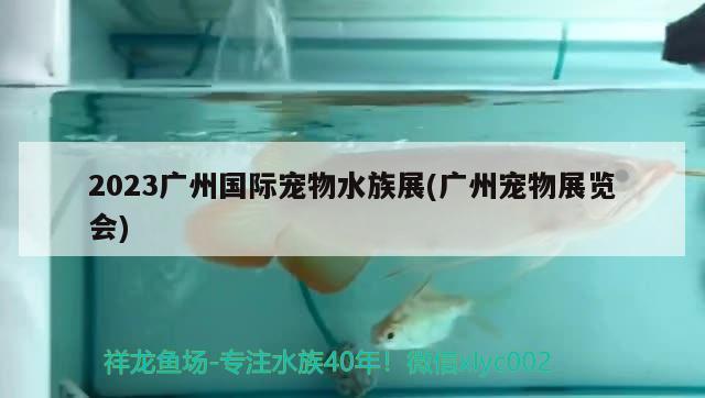 2023廣州國際寵物水族展(廣州寵物展覽會) 水族展會