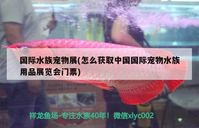 國際水族寵物展(怎么獲取中國國際寵物水族用品展覽會門票)