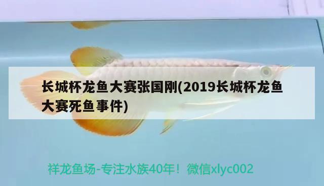 長(zhǎng)城杯龍魚大賽張國(guó)剛(2019長(zhǎng)城杯龍魚大賽死魚事件) 2025第29屆中國(guó)國(guó)際寵物水族展覽會(huì)CIPS（長(zhǎng)城寵物展2025 CIPS）