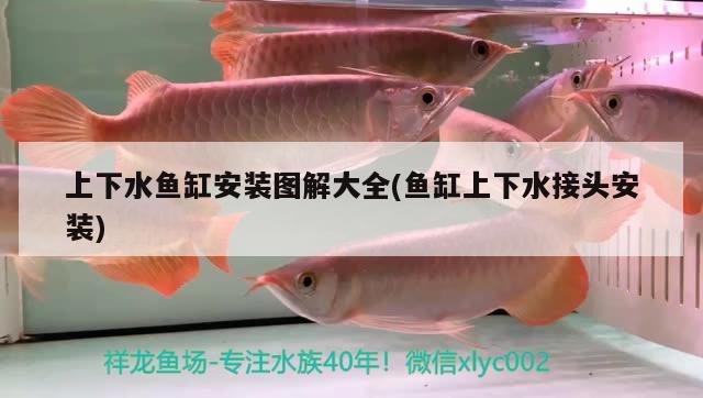 上下水魚(yú)缸安裝圖解大全(魚(yú)缸上下水接頭安裝)