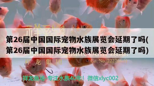 第26屆中國國際寵物水族展覽會(huì)延期了嗎(第26屆中國國際寵物水族展覽會(huì)延期了嗎) 水族展會(huì)