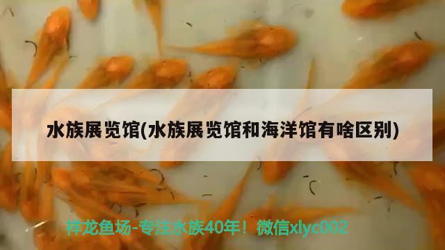 水族展覽館(水族展覽館和海洋館有啥區(qū)別)