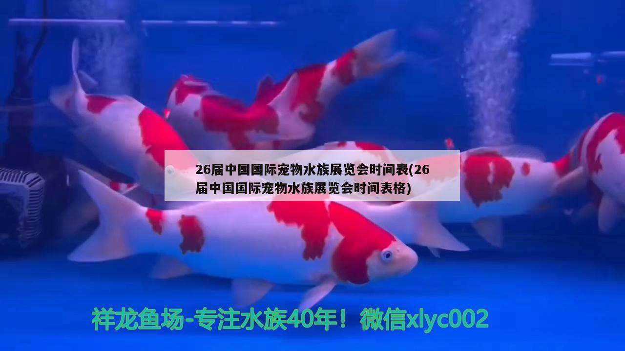 26屆中國(guó)國(guó)際寵物水族展覽會(huì)時(shí)間表(26屆中國(guó)國(guó)際寵物水族展覽會(huì)時(shí)間表格) 水族展會(huì)