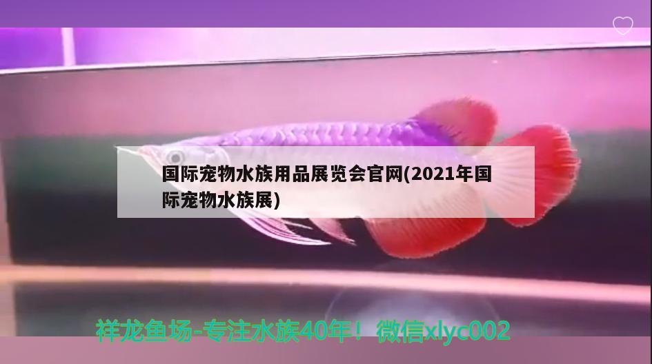 國際寵物水族用品展覽會官網(wǎng)(2021年國際寵物水族展) 水族展會