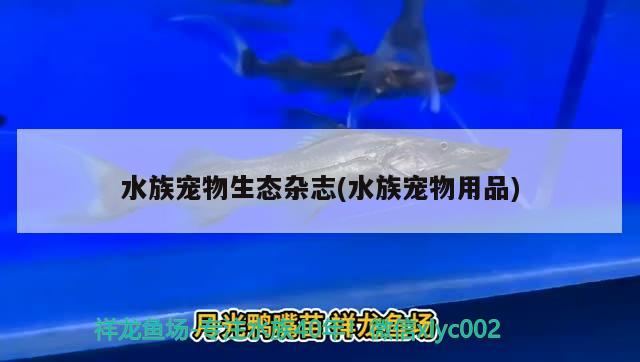 水族寵物生態(tài)雜志(水族寵物用品) 2024第28屆中國(guó)國(guó)際寵物水族展覽會(huì)CIPS（長(zhǎng)城寵物展2024 CIPS）