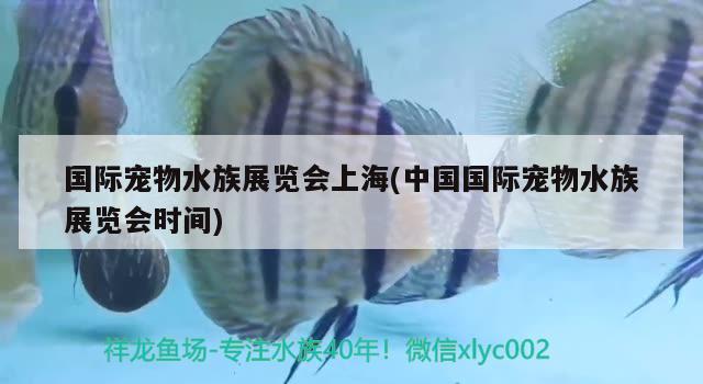 國際寵物水族展覽會上海(中國國際寵物水族展覽會時間)