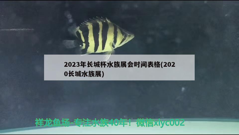 2023年長城杯水族展會(huì)時(shí)間表格(2020長城水族展)