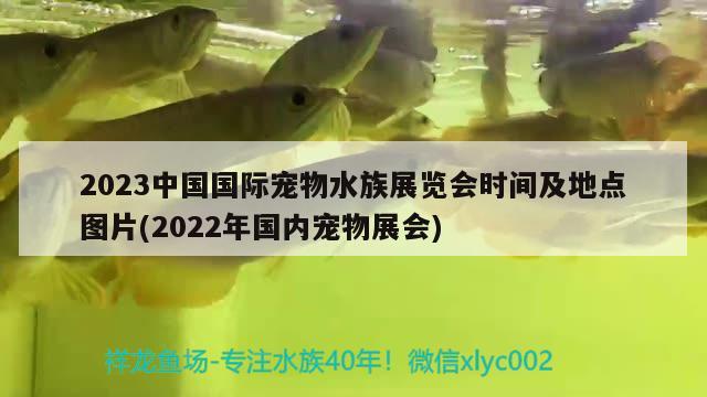 2023中國國際寵物水族展覽會(huì)時(shí)間及地點(diǎn)圖片(2022年國內(nèi)寵物展會(huì))