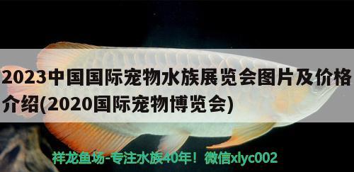 2023中國國際寵物水族展覽會圖片及價格介紹(2020國際寵物博覽會)