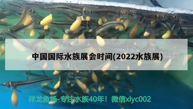 中國國際水族展會時間(2022水族展) 水族展會